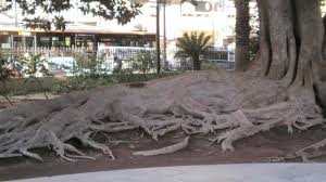 0,63 kilometer vom stadtzentrum entfernt. Hotel Casa Emilio Murcia Holidaycheck Murcia Spanien