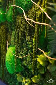 It S Monday But We Re Making The Moss Of It Planteddesign Mosswall Mosswalls Mondaymotivation Plantbased Poweredbyp Indoor Garten Moos Garten