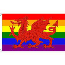 This is a list of flags used exclusively in wales. Regenbogen Wales Flagge Welsh Roten Drachen Homosexuell Stolz Flagge 3x5 Ft 150x90 Cm Banner 100d Polyester Nach Flag603 Freies Verschiffen Gay Pride Flags Wales Flagpride Flag Aliexpress