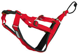Amazon.com : Neewa Adjustable Sled Pro X Harness