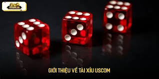 Tai Xiu Online Gameplay: Simple Rules, Big Excitement