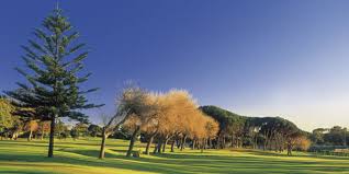 Featured Course Rondebosch Golf Club Rondeboschgolfcourse Gc Rating 4 4 Golf Courses Golf Clubs Golf