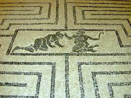 Image result for Verde Giannutri 2008 147