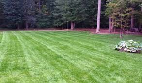 Maybe you would like to learn more about one of these? Tanner S Lawn Service Landscaping