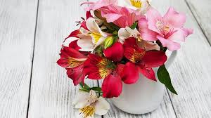 Am i right to assume grocery stores carry local and in season flowers mostly? These 5 Grocery Store Flowers Will Last You The Longest Huffpost