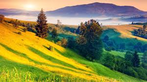 Fond D Ecran Printemps Hd Photos Paysage Photo De Printemps Fond Ecran