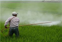 We are providing pest control needs to our fellowmen for 50 years now. What Are Pest Control Chemicals Where To Buy It Worldofchemicals