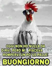 Buongiorno Simpatici Buongiorno Immagini Buongiorno Divertente Buongiorno