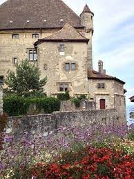 epingle sur chatel
