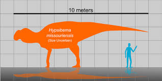 file hypsibema missouriensis size chart svg wikipedia