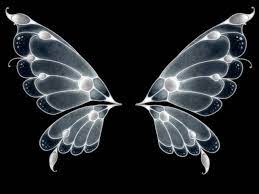 Wings Wings Wallpaper Butterfly Wings Wings Drawing