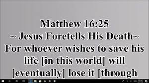 June 27th Matthew 16 25 Matthew 16 Daily Devotional Verse Of The Day