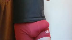 My Big Bulge Huge Fat Cock