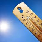 Immagine in miniatura