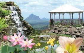 Maleny Botanic Gardens Bird World Sunshine Coast Attractions Botanical Gardens Bird Garden