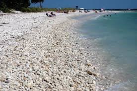 High Tide Woes Review Of Honeymoon Island State Park