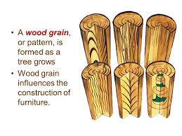 Choose your favourite to see all the solid wood flooring available in this style. Objective 5 02 Critique Components Of Quality Furniture Construction 1 Start On Page Define Wood Grain Solid Wood Veneer Pressed Wood 3 Draw Ppt Download