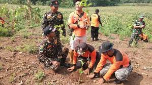 Menjaga Kelestarian Lingkungan Dengan Penghijauan Alam