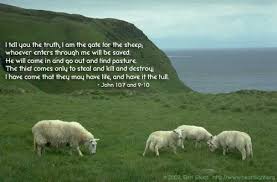 Sheep were often used as sacrificial animals (numbers 28:4; Bible Verses About Shepherd