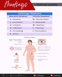 Image result for Cholinergic Toxicity