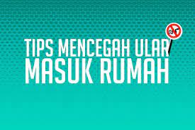 Hal yang paling utama untuk mencegah ular masuk kerumah, yaitu tentu saja keadaan rumah itu sendiri. Infografik Tips Mencegah Ular Masuk Rumah