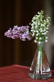 Cette fleur a été inclus dans le bouqeut pour la duchesse katherine. Muguet Lilas Bouquet Photo Gratuite Sur Pixabay