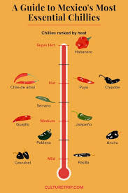 A Guide To Mexicos Most Essential Chillies