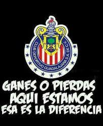 Открыть страницу «chivas de guadalajara» на facebook. 52 Guadalajara Chivas Ideas Chivas Soccer Guadalajara Soccer