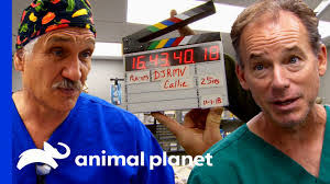 Jeff Bear's Instagram, Twitter & Facebook