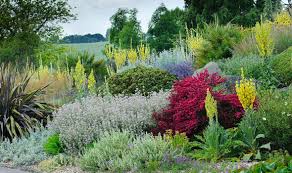 Rhs Hyde Hall Is A Great British Winner Sensory Garden Edible Landscaping Dry Garden