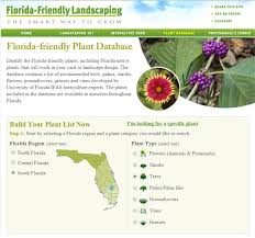Annual flowers for central florida. Find Florida Friendly Plants City Of Fort Lauderdale Fl