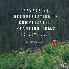 3,464 likes · 3 talking about this. 83 Nature Quotes Ideas Nature Quotes Trees To Plant Tree Quotes