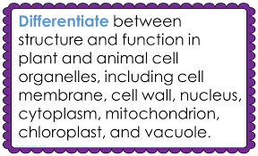 Cell division gizmo answer key activity b shows the amount of misconceptions exist. Plant And Animal Cells Lesson Plan A Complete Science Lesson Using The 5e Method Of Instruction Kesler Science