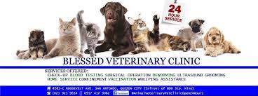 Animal emergency clinic miami, fl 33101. Blessed Veterinary Clinic And Grooming Center Home Facebook