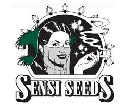 We can recommend another marijuana seed bank sensi seeds from seedsman that. Sensi Seeds The Weed Seed Bank Worldwide