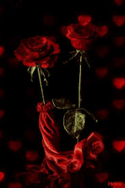 Animated gif images «i love you» will tell everything for you. Red Rose Bouquet Animated Gif