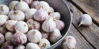 Khasiat bawang putih memang diketahui sangat berguna untuk kesihatan manusia kerana membantu dalam membunuh parasit, membantu dalam sistem pernafasan, perbaiki sistem penghadaman dan kandungan tenaga yang rendah. 14 Manfaat Bawang Putih Tunggal Untuk Kesehatan Pria Dream Co Id