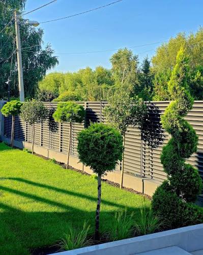 Rezultat după folosirea RootClean™