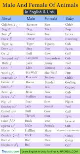 Masculine And Feminine Gender Of Animals List Ultimate Gender List Learn English Words English Vocabulary Words Good Vocabulary Words