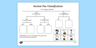 One worksheet for each animal type. Animal Poo Classification Worksheet Teacher Made