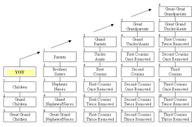 Family Tree Relationship Chart Sada Margarethaydon Com