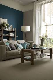 75 Lovely Living Room Design Ideas Living Room Turquoise Blue Accent Wall Living Room Accent Walls In Living Room