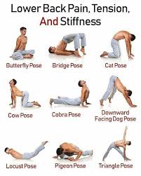 Pin On Yoga Exercises