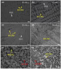 Metals Free Full Text The Bcc B2 Morphologies In Alxnicofecr High Entropy Alloys Html