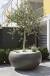Modern Large Outdoor Pots