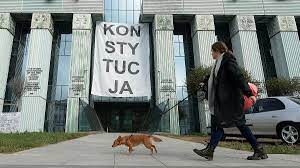 Learn how to housebreak your dog in 6 days for free. 6oq6binxj Z Km