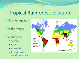 The rainforests comprise three separate regions including cairns, carmila, and normandy range. Rainforest By Tom R Ppt Download