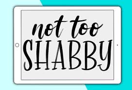 Image result for not too shabby