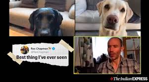 Man Conducts Zoom Call With Pet Dogs Over Their Performance And Netizens Love It Trending News The Indian Express Pet Dogs Zoom Call Pets