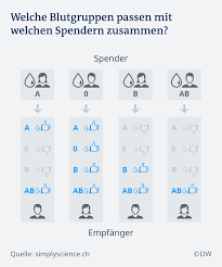 Die besten blutspender sind demnach personen mit der blutgruppe 0 (universalspender). Und Welche Blutgruppe Haben Sie Wissen Umwelt Dw 15 06 2019